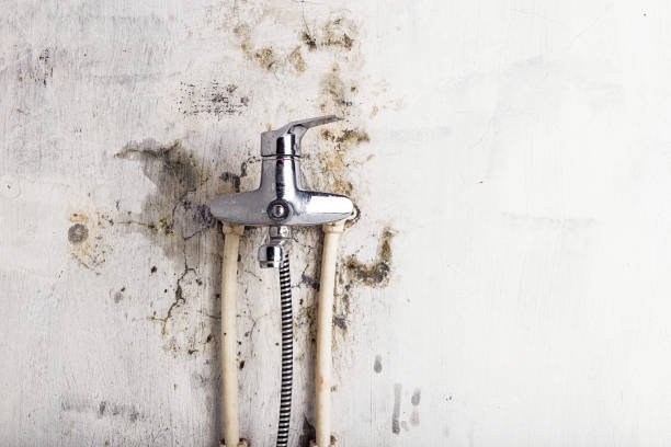 Best Water Damage Restoration  in Bedminster, NJ