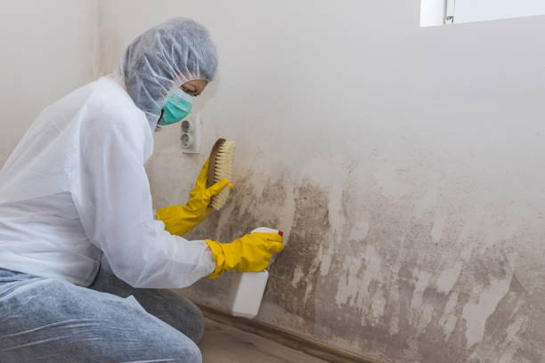 Best Office Mold Removal Services  in Bedminster, NJ