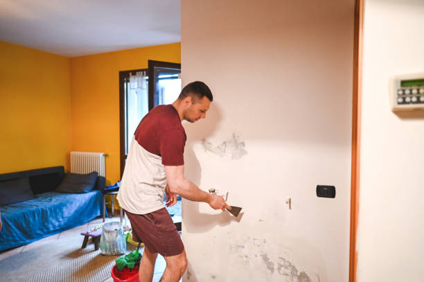 Best Mold Cleaning Services  in Bedminster, NJ